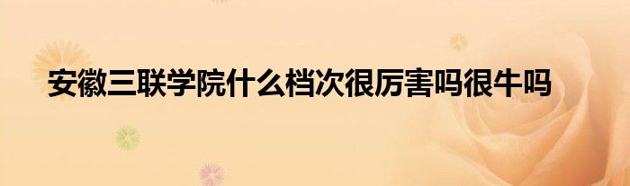 安徽三联学院什么档次很厉害吗很牛吗