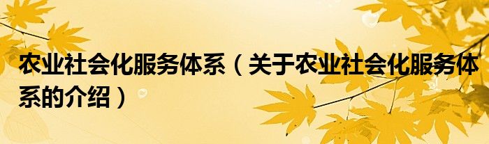 农业社会化服务体系（关于农业社会化服务体系的介绍）