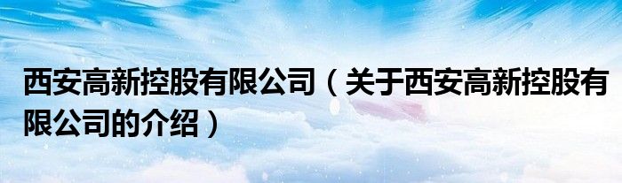 西安高新控股有限公司（关于西安高新控股有限公司的介绍）