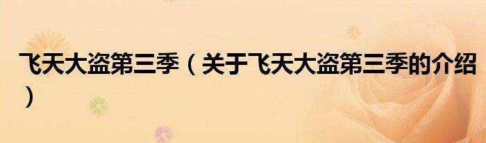 飞天大盗第三季（关于飞天大盗第三季的介绍）