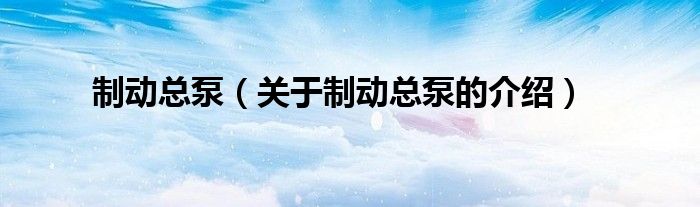 制动总泵（关于制动总泵的介绍）