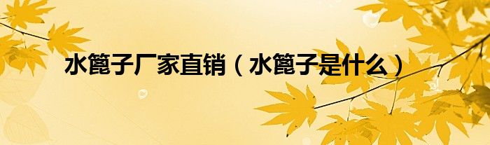 水篦子厂家直销（水篦子是什么）