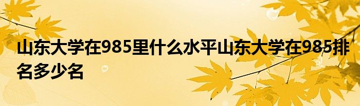 山东大学在985里什么水平山东大学在985排名多少名
