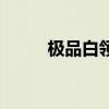 极品白领（关于极品白领的介绍）