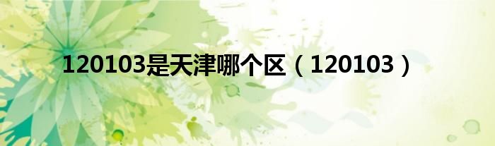 120103是天津哪个区（120103）