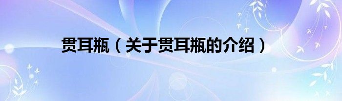 贯耳瓶（关于贯耳瓶的介绍）