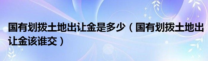 国有划拨土地出让金是多少（国有划拨土地出让金该谁交）