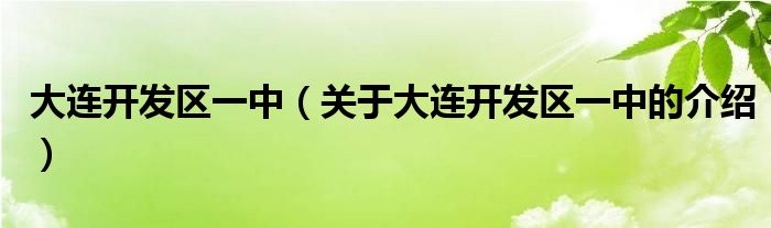 大连开发区一中（关于大连开发区一中的介绍）