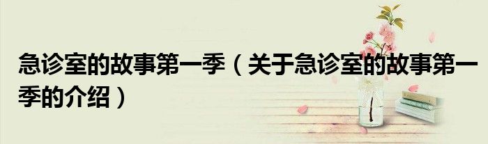 急诊室的故事第一季（关于急诊室的故事第一季的介绍）