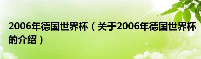 2006年德国世界杯（关于2006年德国世界杯的介绍）