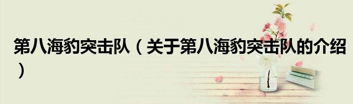 第八海豹突击队（关于第八海豹突击队的介绍）