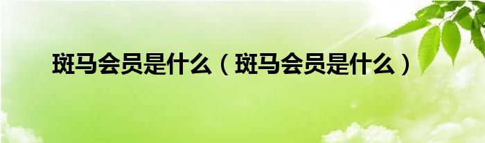 斑马会员是什么（斑马会员是什么）