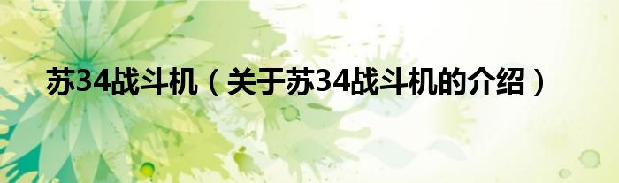 苏34战斗机（关于苏34战斗机的介绍）