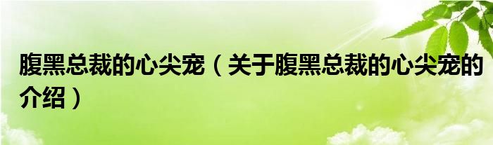 腹黑总裁的心尖宠（关于腹黑总裁的心尖宠的介绍）