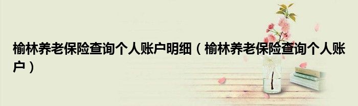 榆林养老保险查询个人账户明细（榆林养老保险查询个人账户）