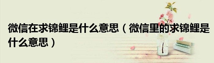 微信在求锦鲤是什么意思（微信里的求锦鲤是什么意思）