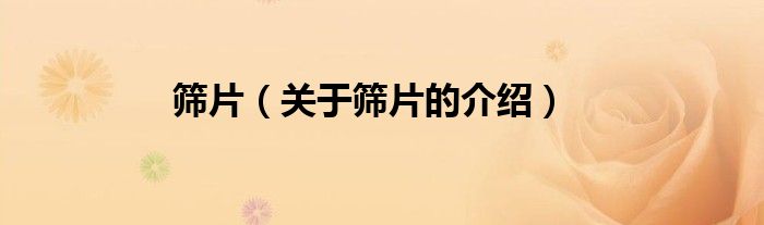 筛片（关于筛片的介绍）