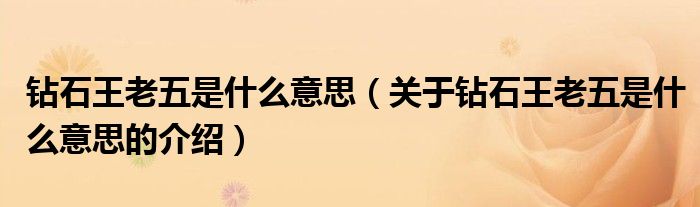 钻石王老五是什么意思（关于钻石王老五是什么意思的介绍）