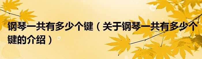 钢琴一共有多少个键（关于钢琴一共有多少个键的介绍）