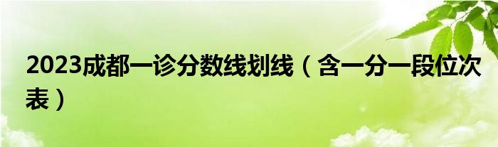 2023成都一诊分数线划线（含一分一段位次表）