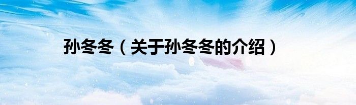 孙冬冬（关于孙冬冬的介绍）