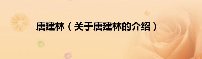 唐建林（关于唐建林的介绍）