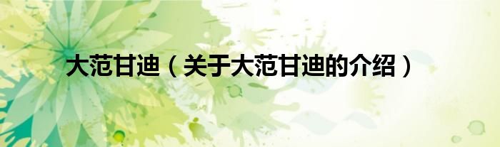 大范甘迪（关于大范甘迪的介绍）