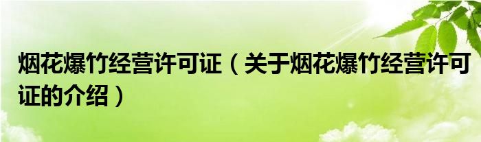烟花爆竹经营许可证（关于烟花爆竹经营许可证的介绍）