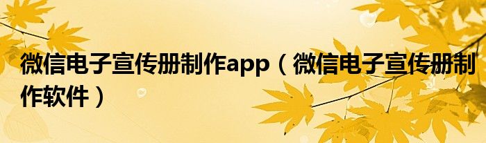 微信电子宣传册制作app（微信电子宣传册制作软件）