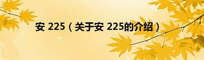 安 225（关于安 225的介绍）