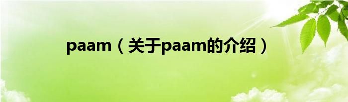 paam（关于paam的介绍）