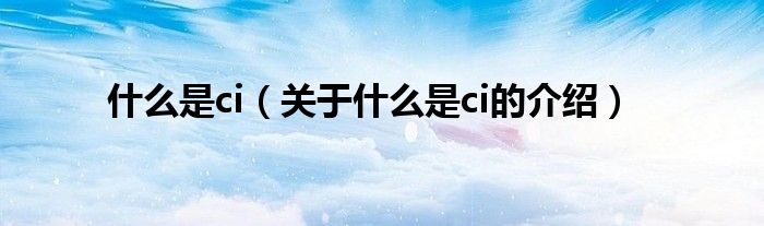 什么是ci（关于什么是ci的介绍）