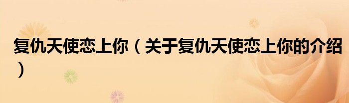 复仇天使恋上你（关于复仇天使恋上你的介绍）