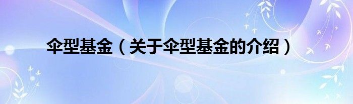 伞型基金（关于伞型基金的介绍）
