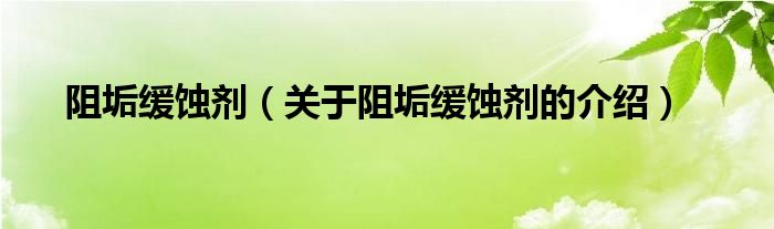 阻垢缓蚀剂（关于阻垢缓蚀剂的介绍）
