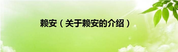 赖安（关于赖安的介绍）
