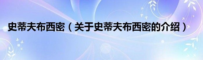 史蒂夫布西密（关于史蒂夫布西密的介绍）