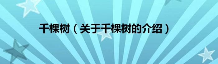 千棵树（关于千棵树的介绍）