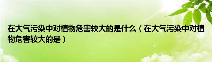 在大气污染中对植物危害较大的是什么（在大气污染中对植物危害较大的是）