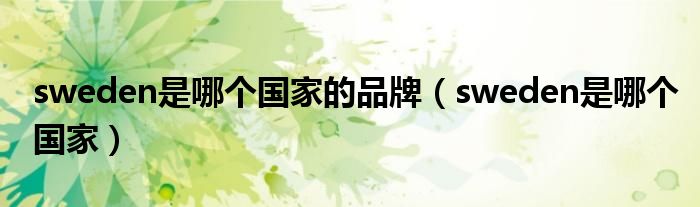 SE是哪个国家的英文缩写