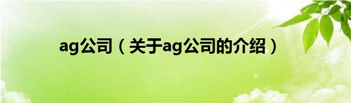 ag公司（关于ag公司的介绍）