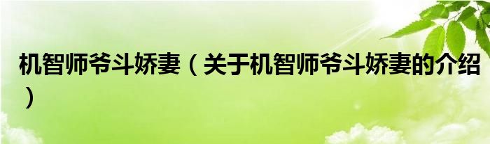 机智师爷斗娇妻（关于机智师爷斗娇妻的介绍）