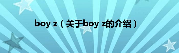 boy z（关于boy z的介绍）