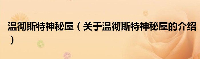 温彻斯特神秘屋（关于温彻斯特神秘屋的介绍）