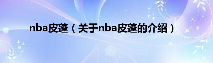 nba皮蓬（关于nba皮蓬的介绍）