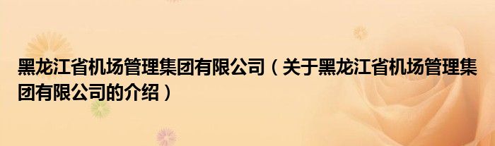 黑龙江省机场管理集团有限公司（关于黑龙江省机场管理集团有限公司的介绍）