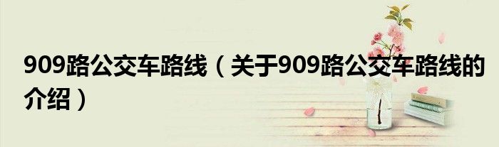 909路公交车路线（关于909路公交车路线的介绍）