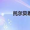 托尔贝恩（关于托尔贝恩的介绍）
