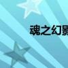 魂之幻影（关于魂之幻影的介绍）