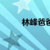 林峰爸爸（关于林峰爸爸的介绍）